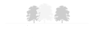 logo-image