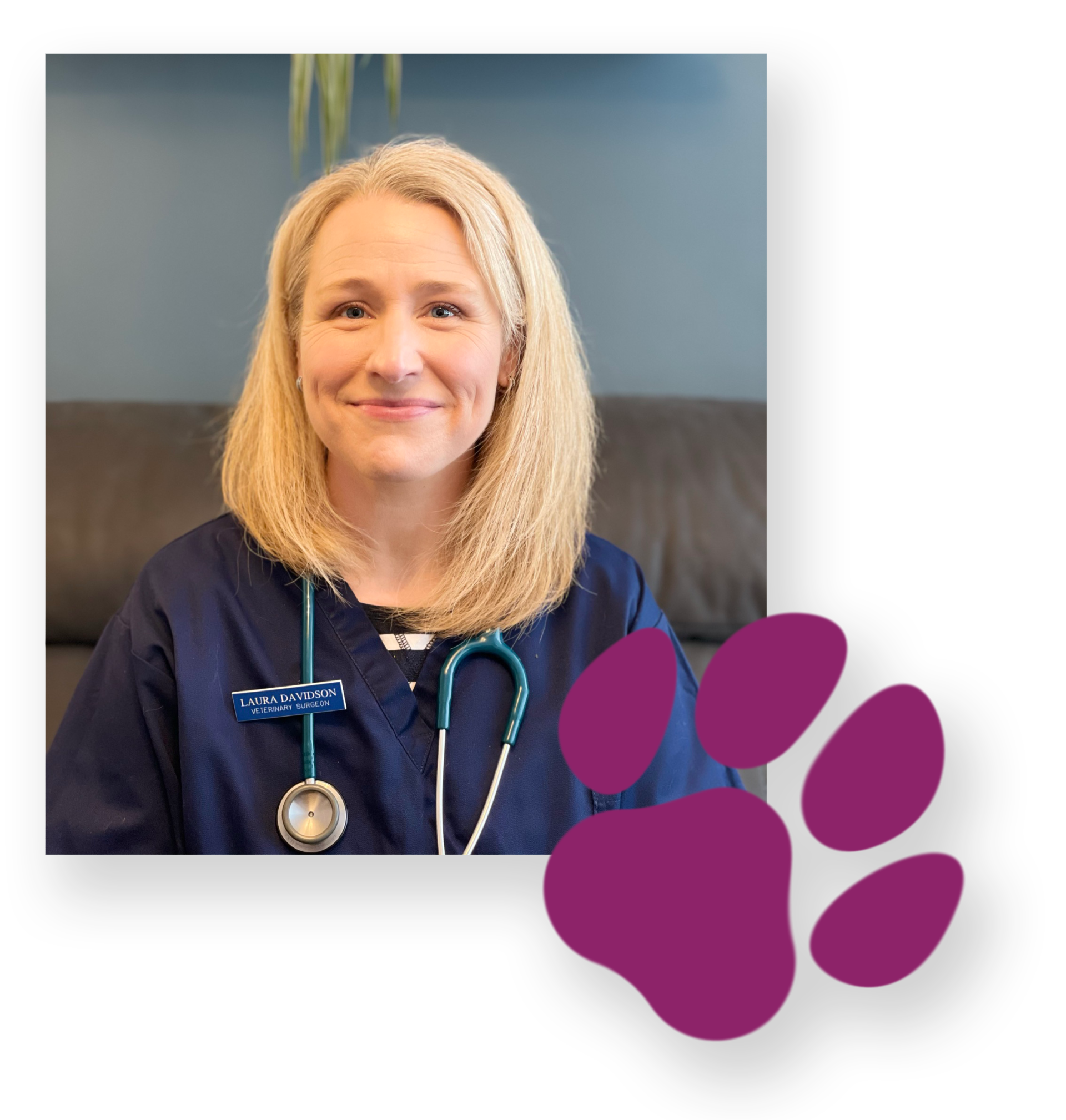 Mobile Pet Euthanasia Nottingham Rainbow Bridge Veterinary