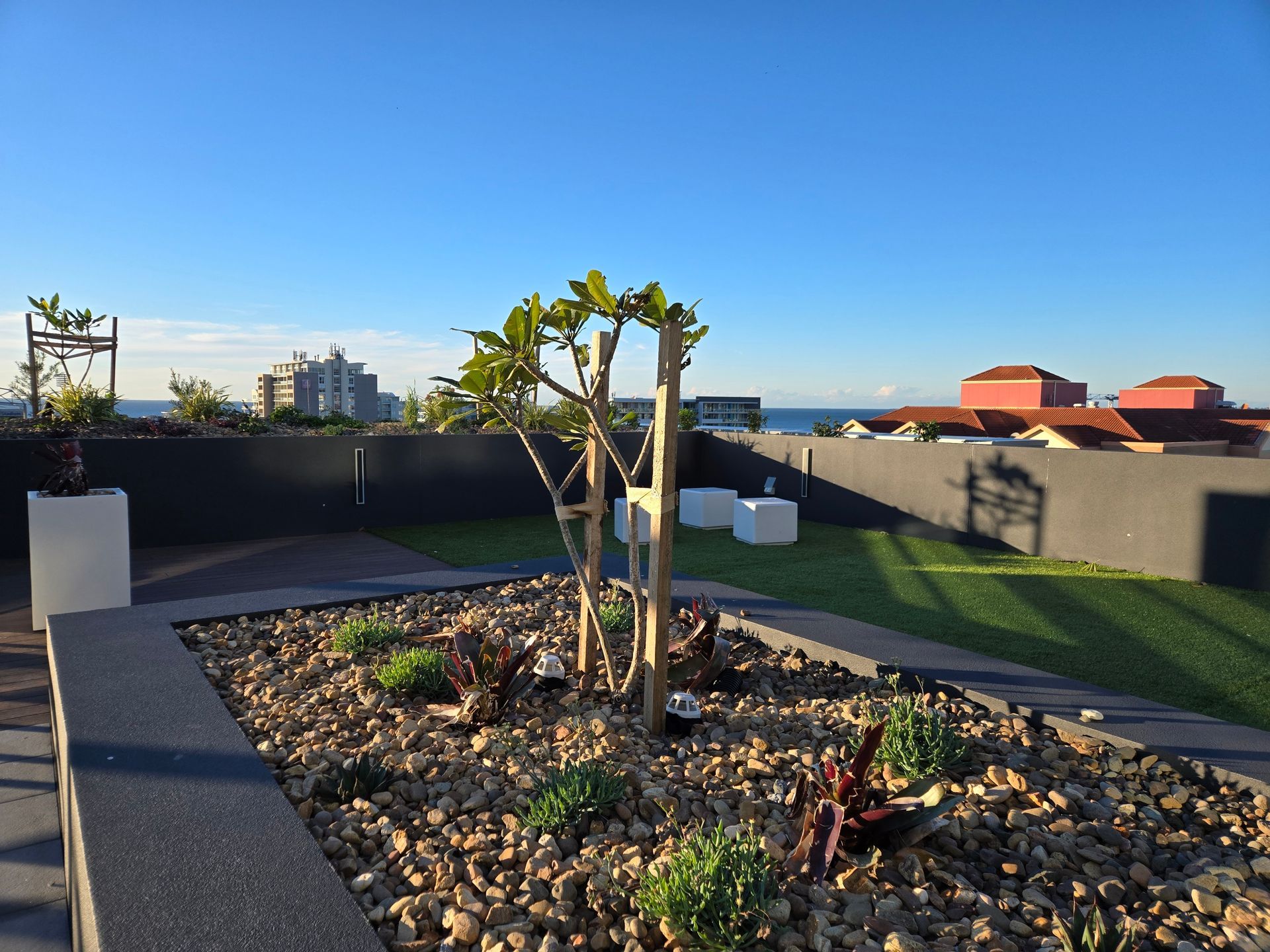 An outdoor area with a raised garden bed and a small tree — Commercial Painting Group in Kembla Grange, NSW