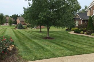 Lawn with freshly cut stripes, trees, and a brick house in a suburban setting.