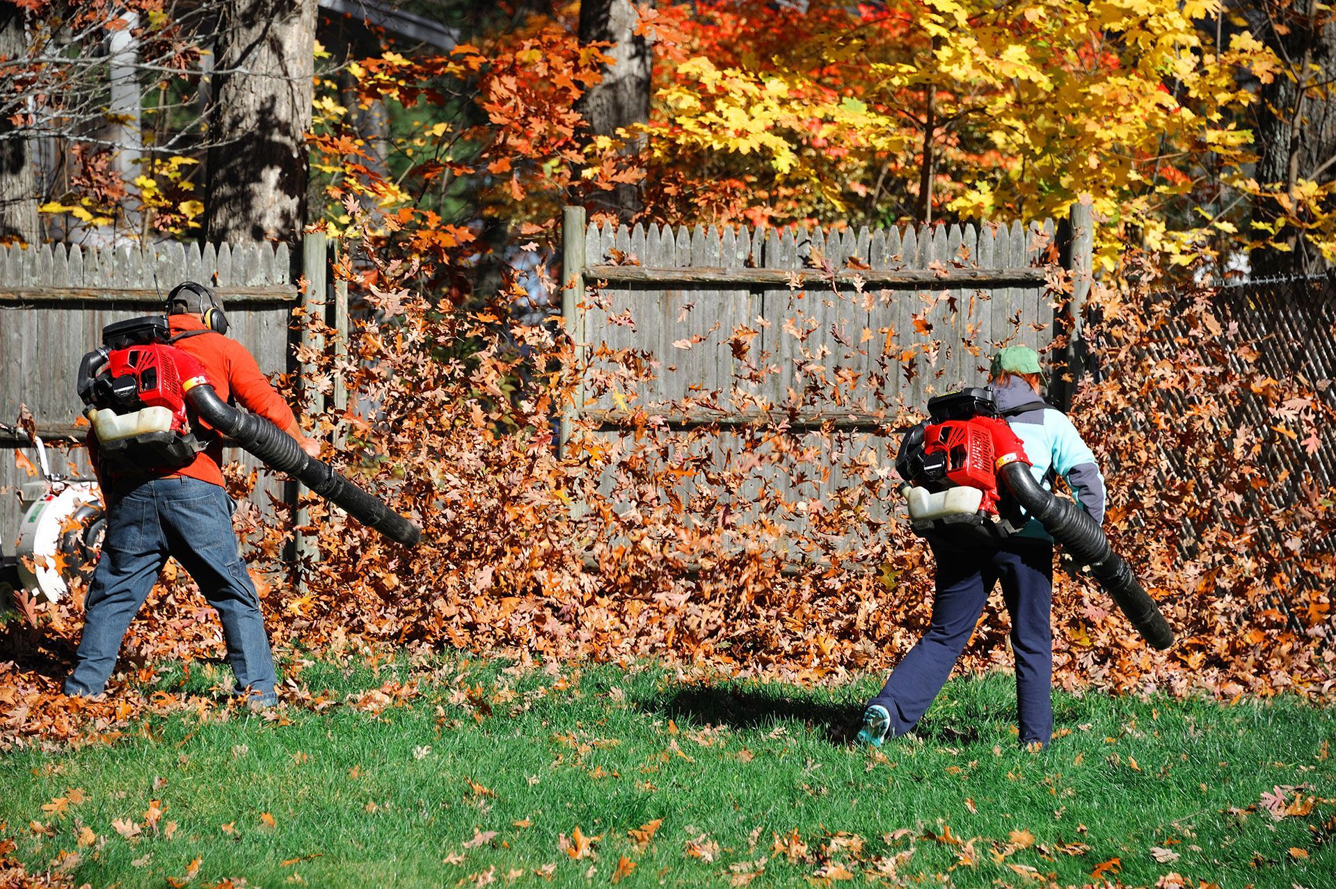 Two people using leaf blowers to clear leaves from a yard, fall foliage in the background.