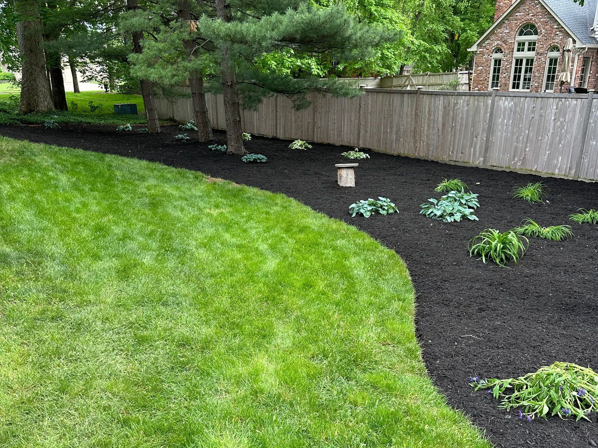 Lush green lawn borders a bed of black mulch with green plants, a wooden fence, and a stone house.