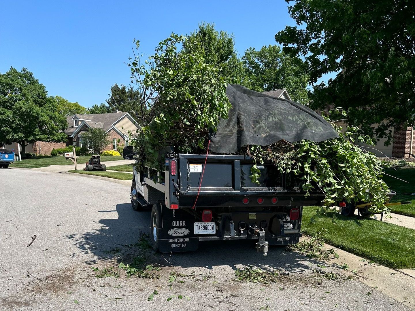A black truck bed filled with green tree branches and topped with black netting parked on a street.