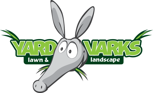 Gray cartoon aardvark with surprised expression in front of the text