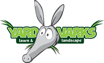 Gray cartoon aardvark with surprised expression in front of the text 