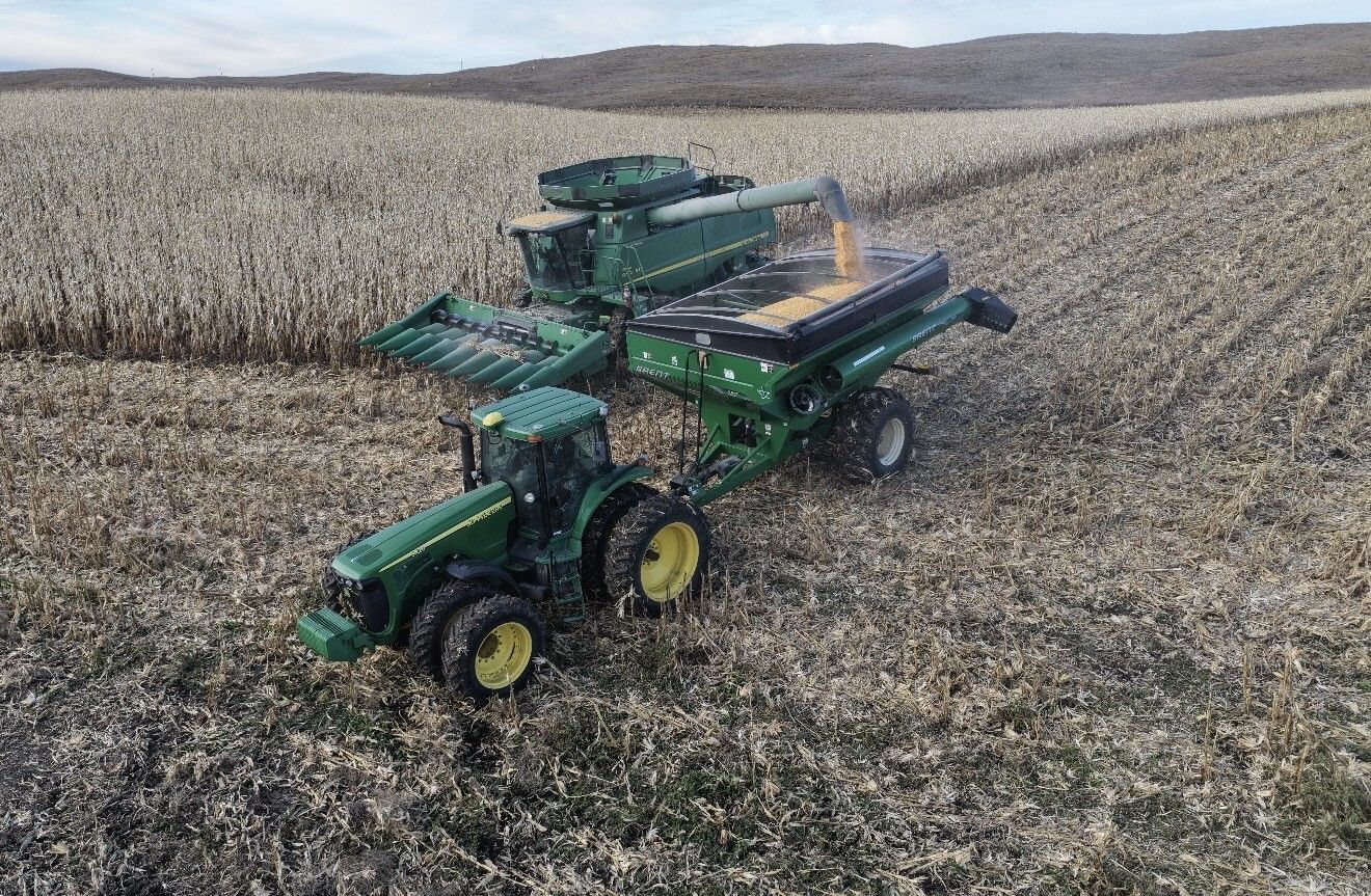Green combine harvester working in a dry cornfield under an overcast sky