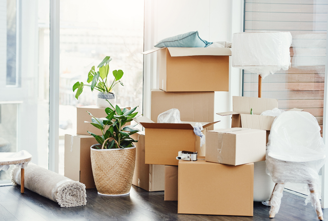 Packed moving boxes, rolled rug, and houseplants in a bright, sunlit room with a chair and mirror.