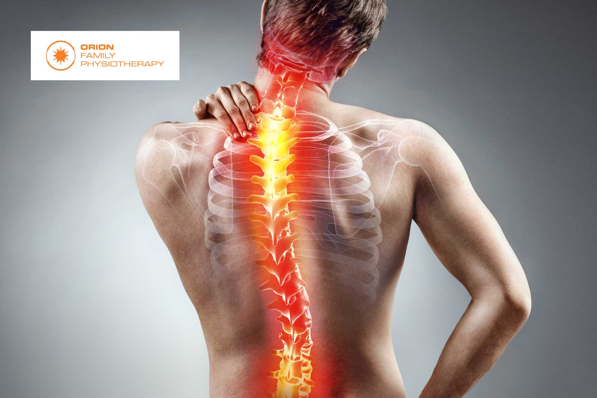Focus on Ankylosing Spondylitis
