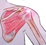 Frozen Shoulder