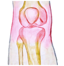 Joint