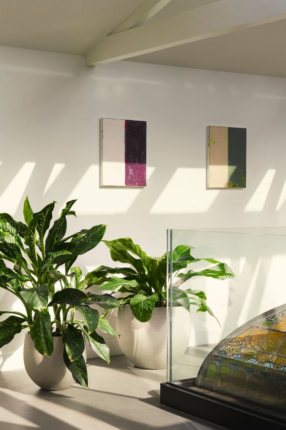 Lichtovergoten kantoorhoek met drie grote Dieffenbachia’s in witte potten onder moderne kunst Studio Tête à Tête Amsterdam