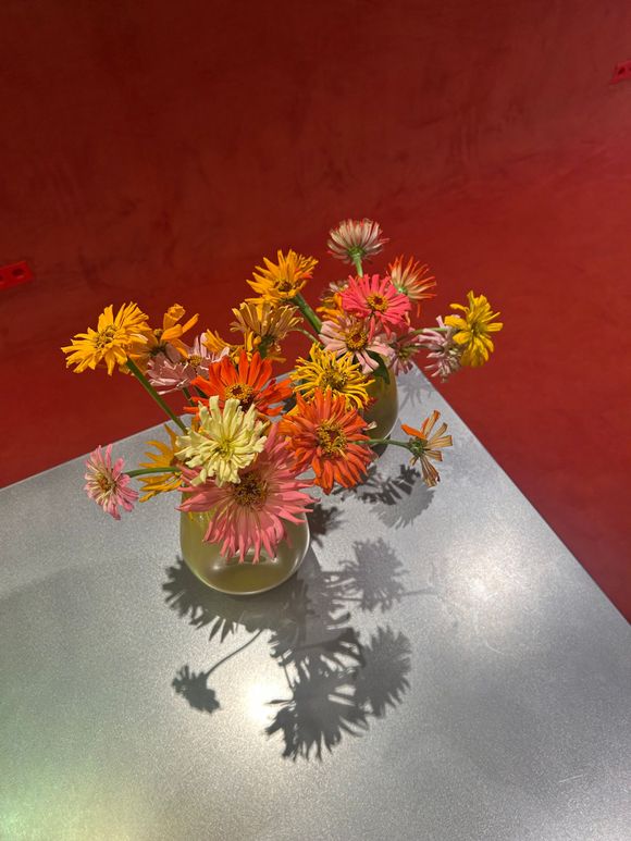 Twee vaasjes vol oranje roze en gele gerbera’s op zilvergrijs blad tegen warmrode muur Studio Tête à Tête Amsterdam