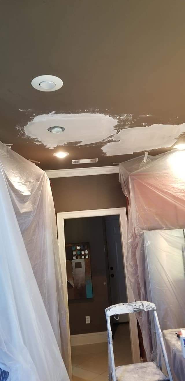 A room with a ladder and a door is being painted.