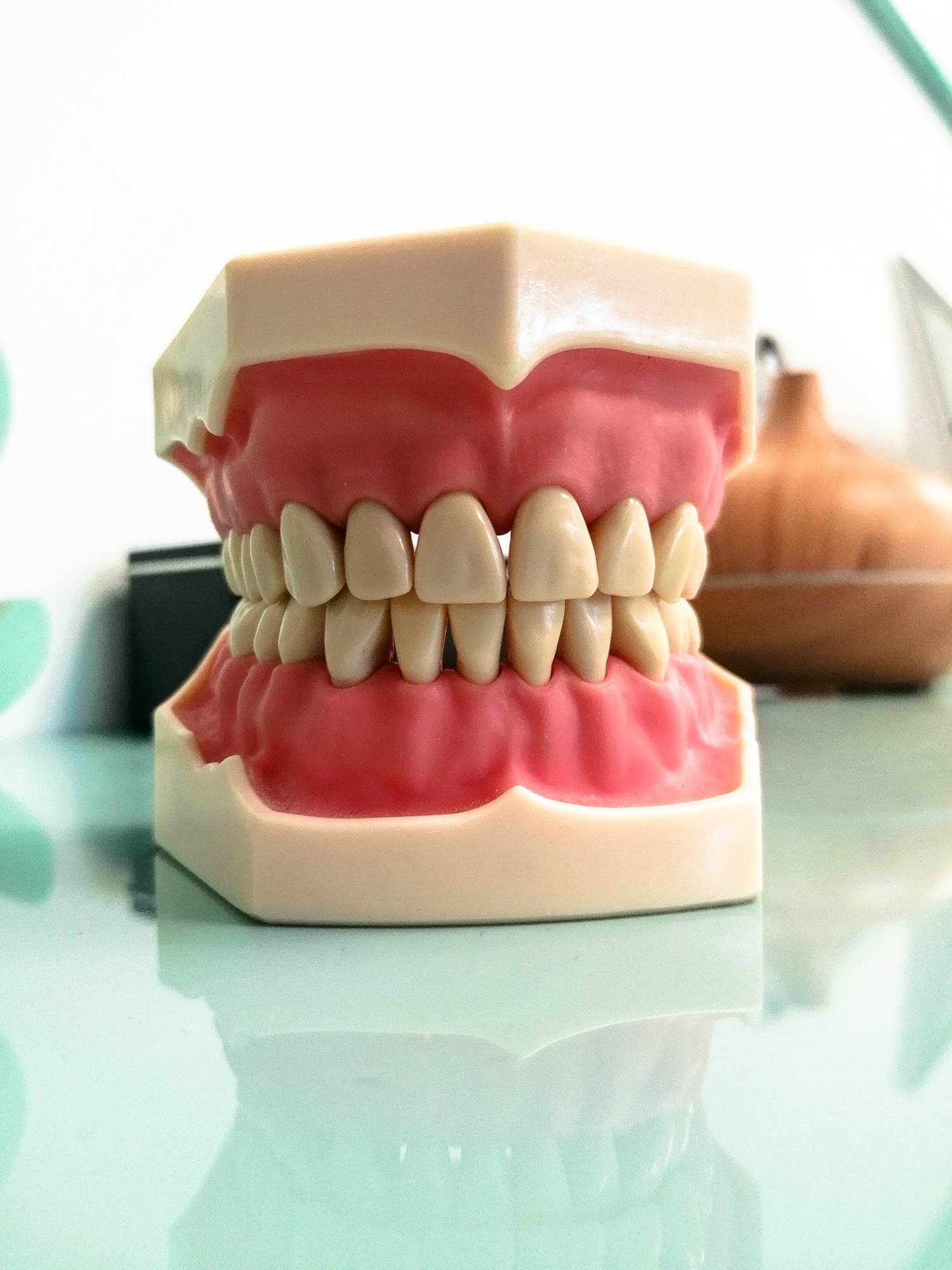 Denture mould on the counter of a dental clinic | Ringwood, VIC | Abstract Arch Denture Clinic