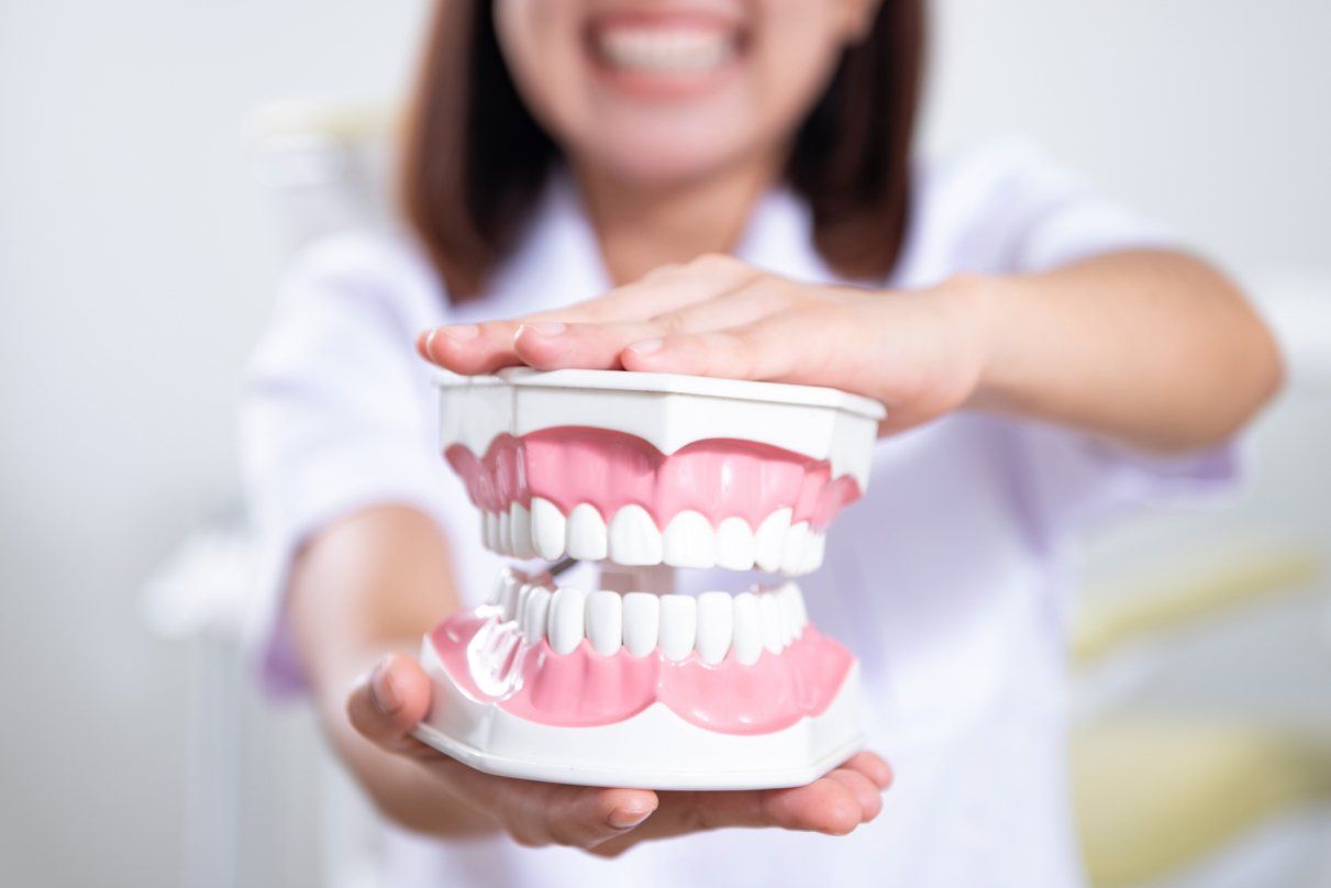 Dentist holding a model of teeth, smiling. White lab coat, dental office setting.