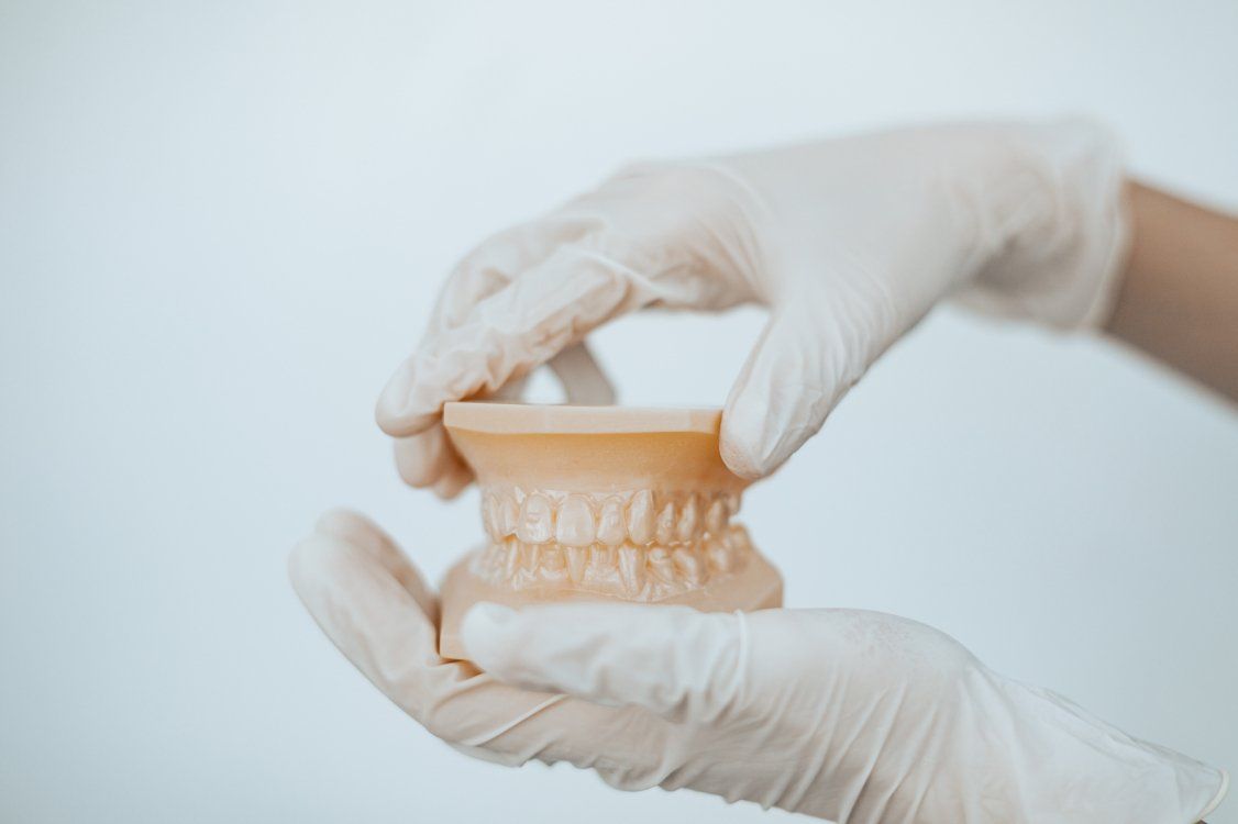 Hands in white gloves holding a model of a set of teeth against a white background.