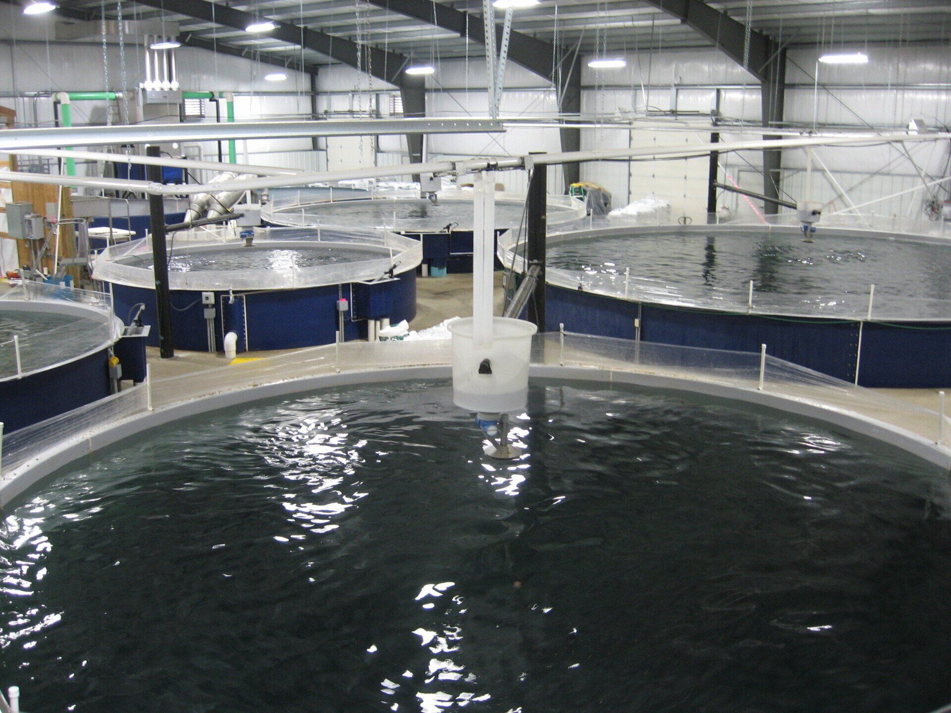 RAS indoor