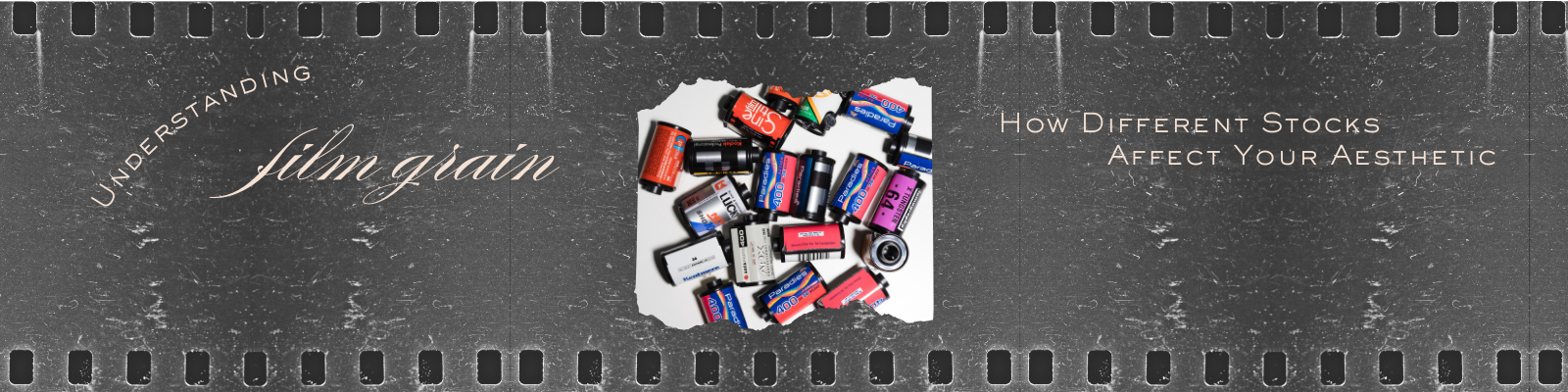 Understanding Film Grain: How Different Stocks Affect Your Aesthetic | Annex Photo by Fujifilm Toronto Canada Blog Banner