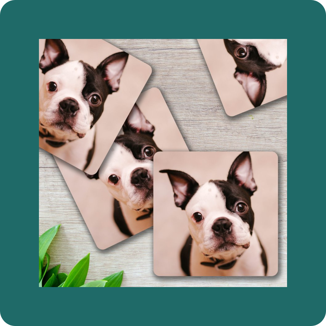 Photo Coasters Button