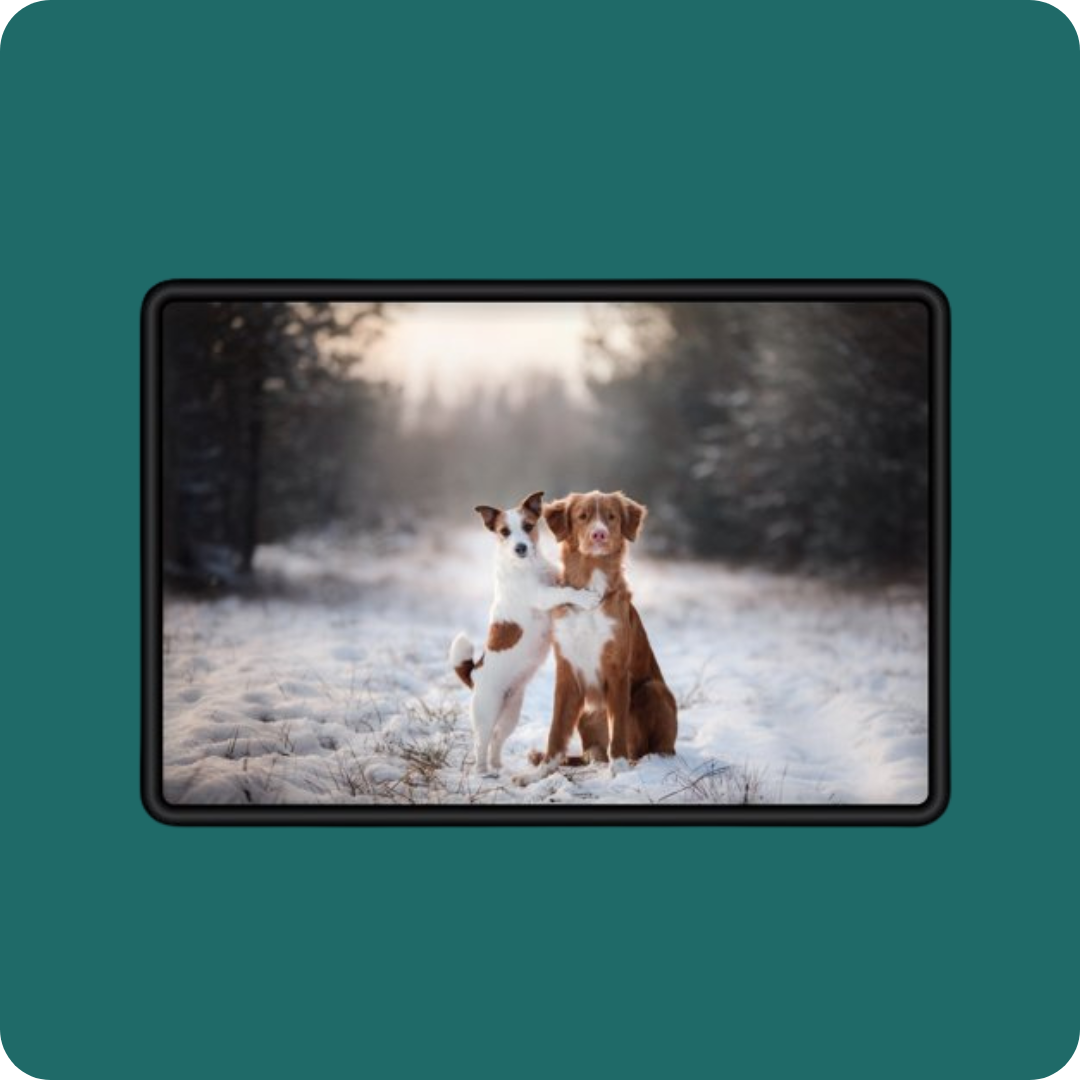 Photo Magnet Button
