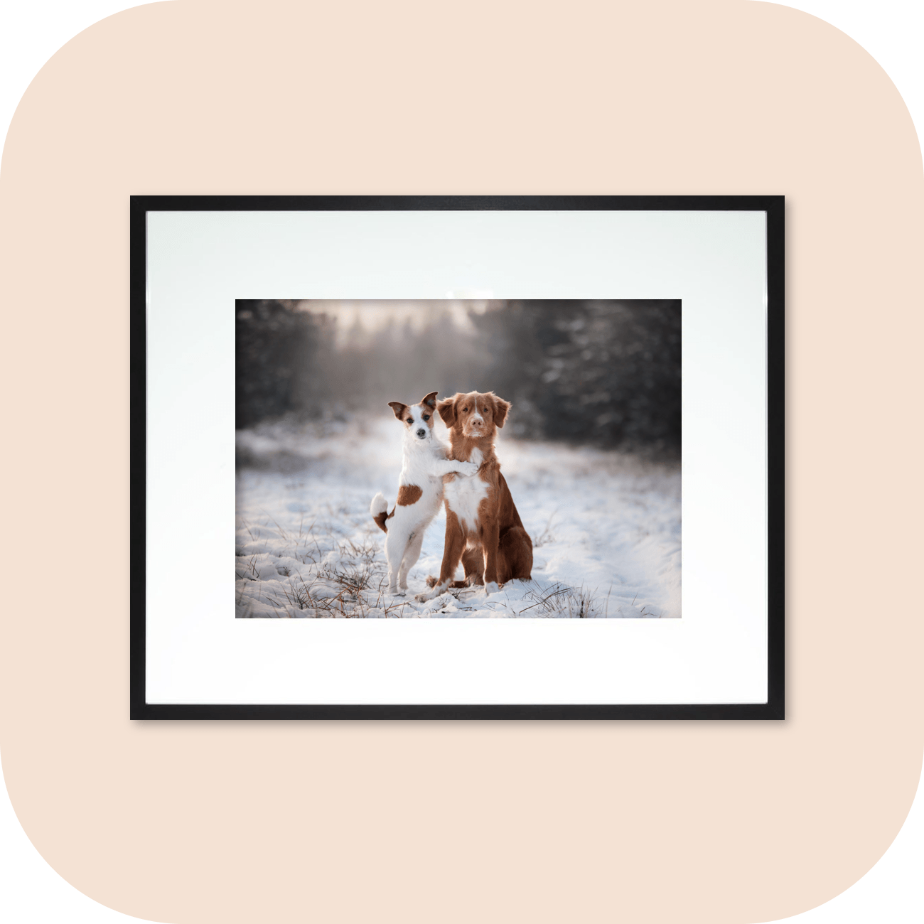 Framed Prints Button