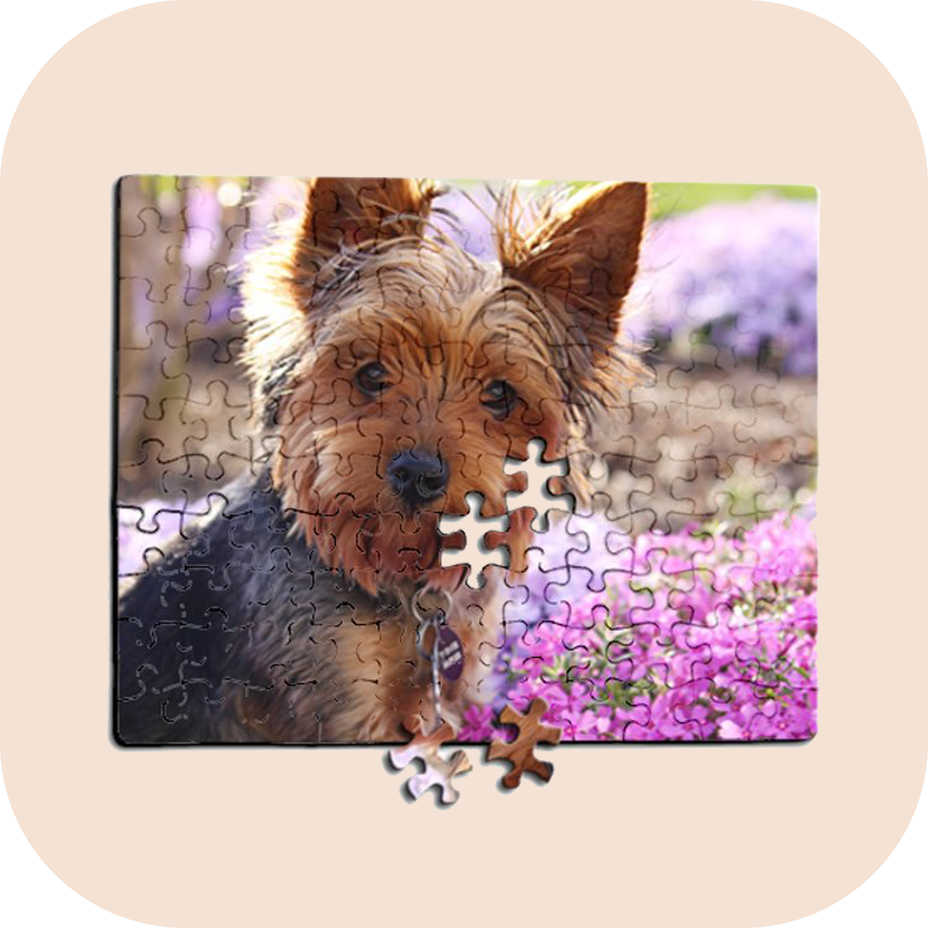 Photo Puzzle Button