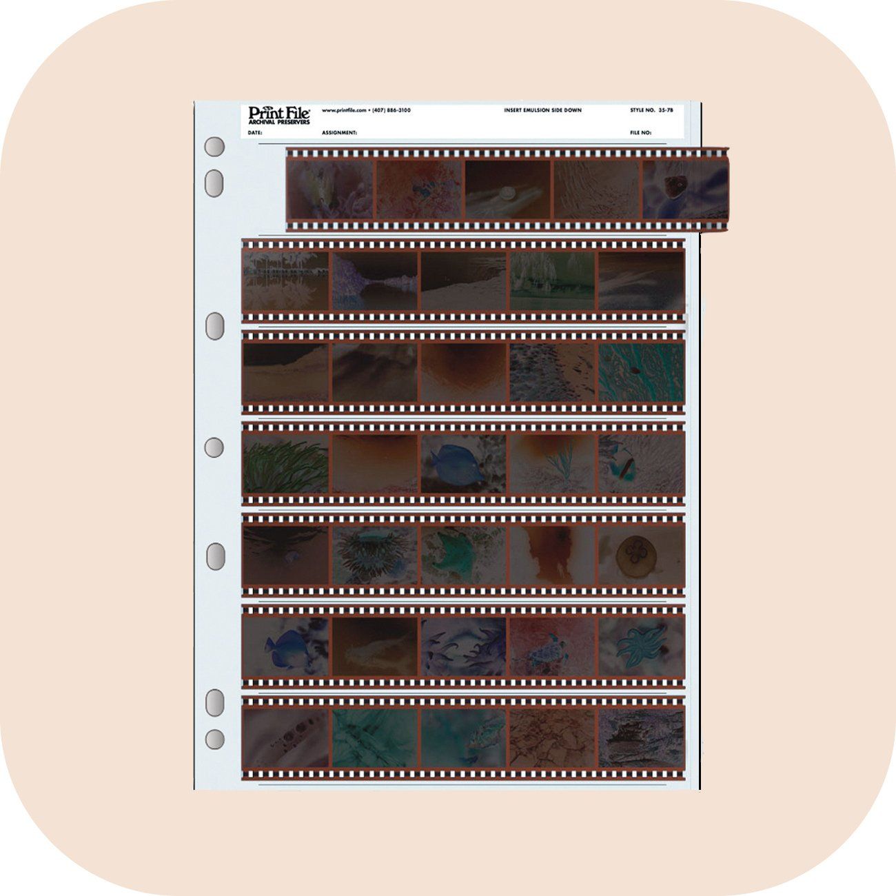 Negative Pages Button