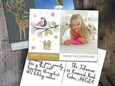 Greeting Cards