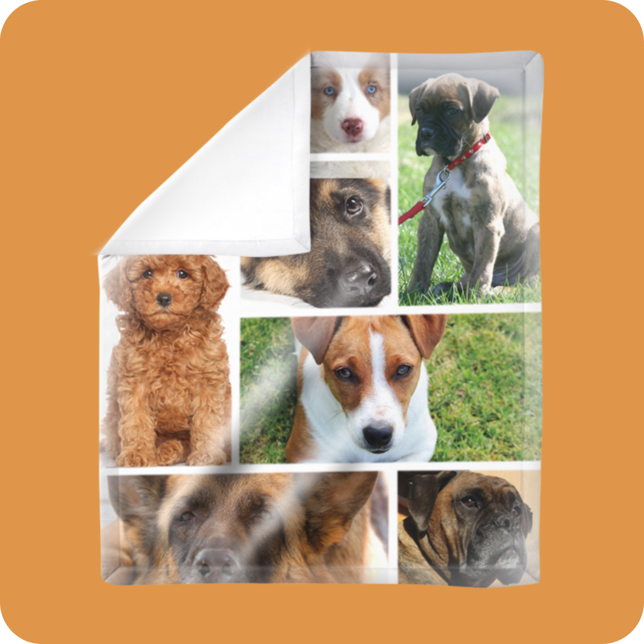 Pet Photo Collage Blanket 50X60