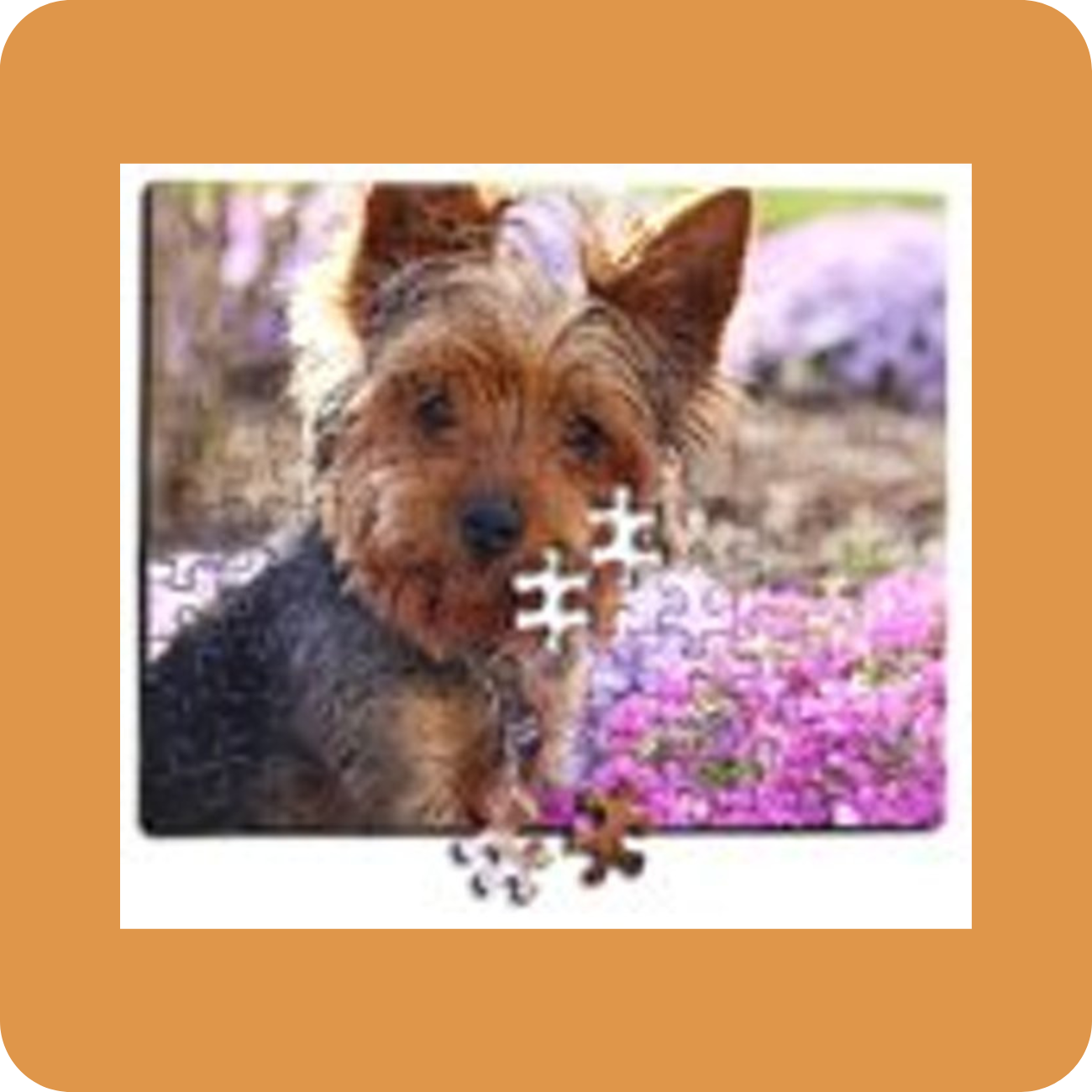 Pet Photo Puzzle - 315 Piece