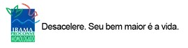 Logo do IBAMA