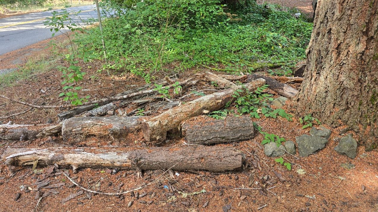 yard waste, yard debris, junk pickup