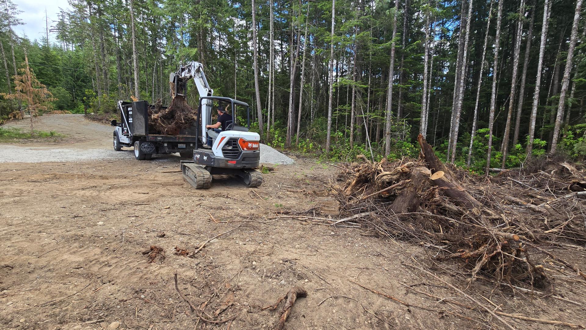 yard waste removal