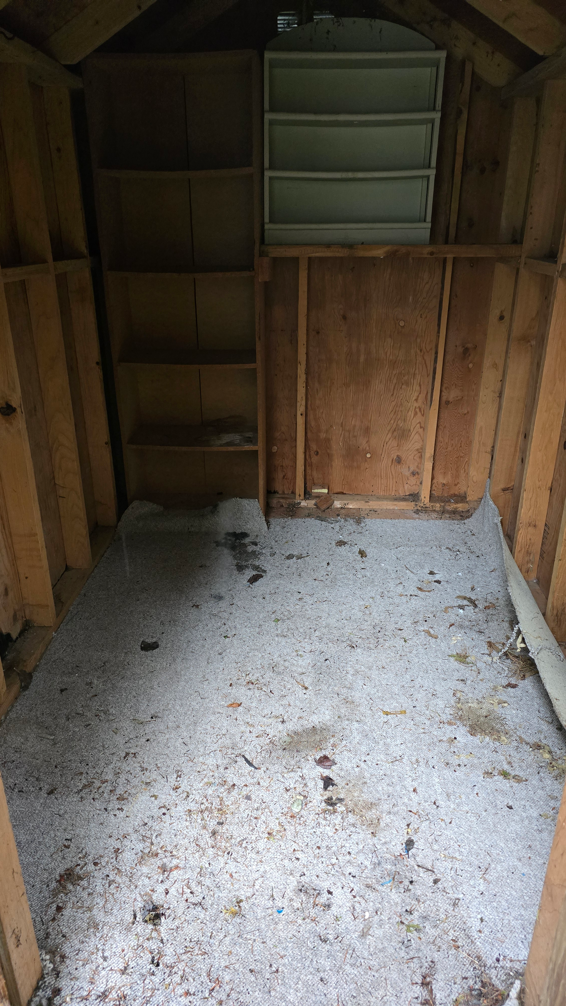 belfair, junk removal, shed cleanout, after