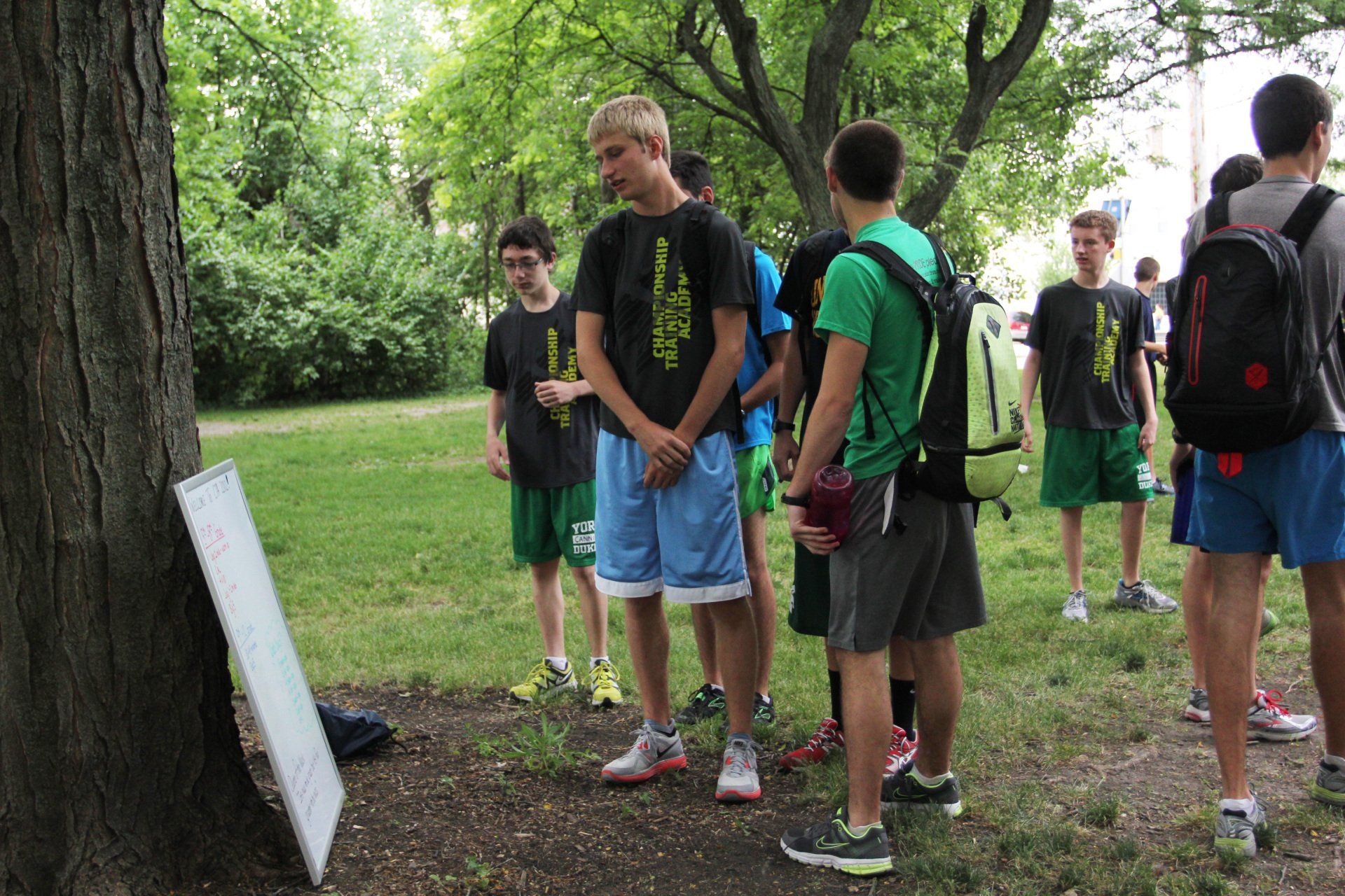 A group of young men are standing around a tree in a park.