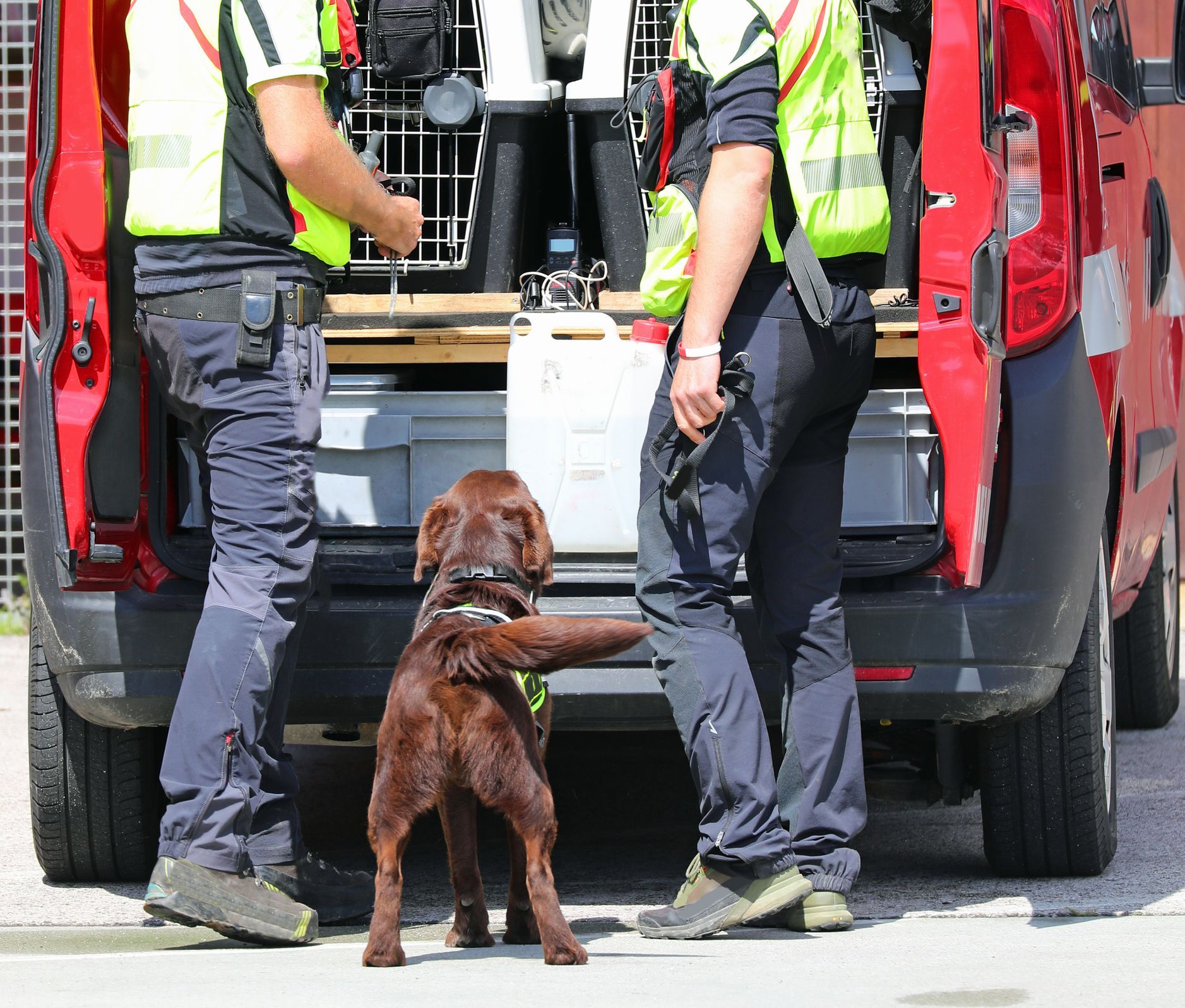 Two uniformed officers, dog, van: canine search operation. The dog, brown, tail wagging, paws on ground.