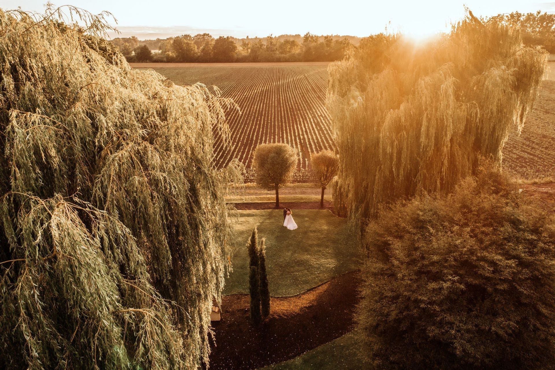 Bride in white gown stands in a garden with willow trees, farmland in the background, lit by the setting sun.
