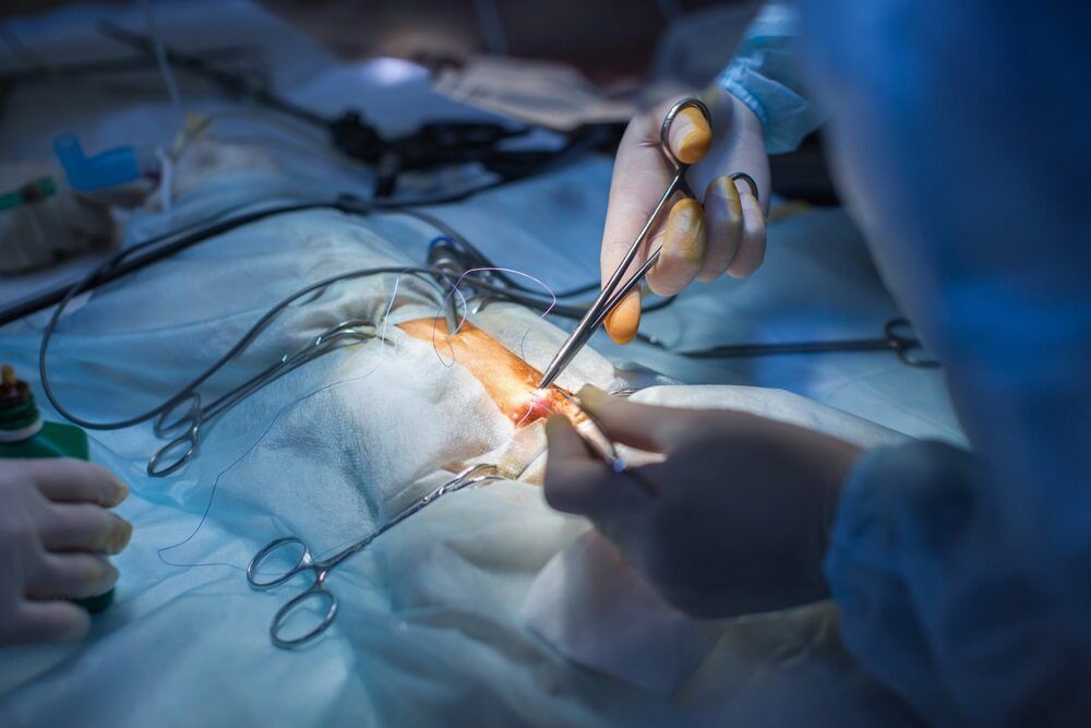 Surgeon Using Instruments on a Patient During Surgery in an Operating Room — Yandina Vet Clinic in Bli Bli, QLD