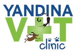 Vet Clinic in Yandina Vet Clinic in Yandina