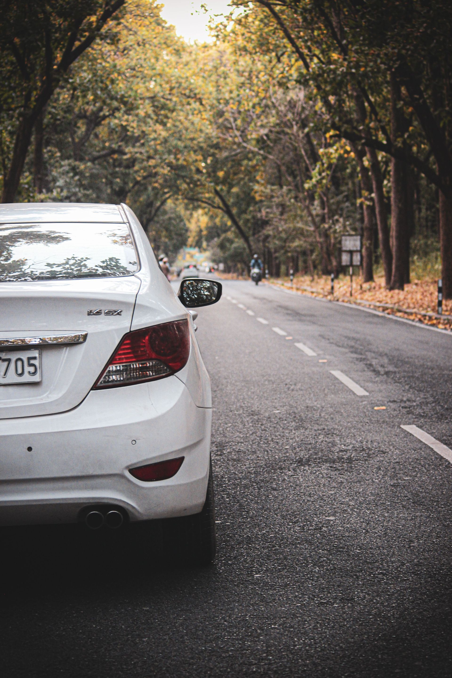 White car parked on a wet tree-lined road in autumn, with fallen leaves along the curb.
