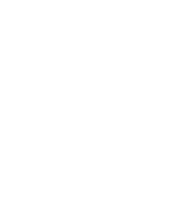 Apex Design logo