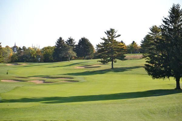 A lush green golf course with trees in the background