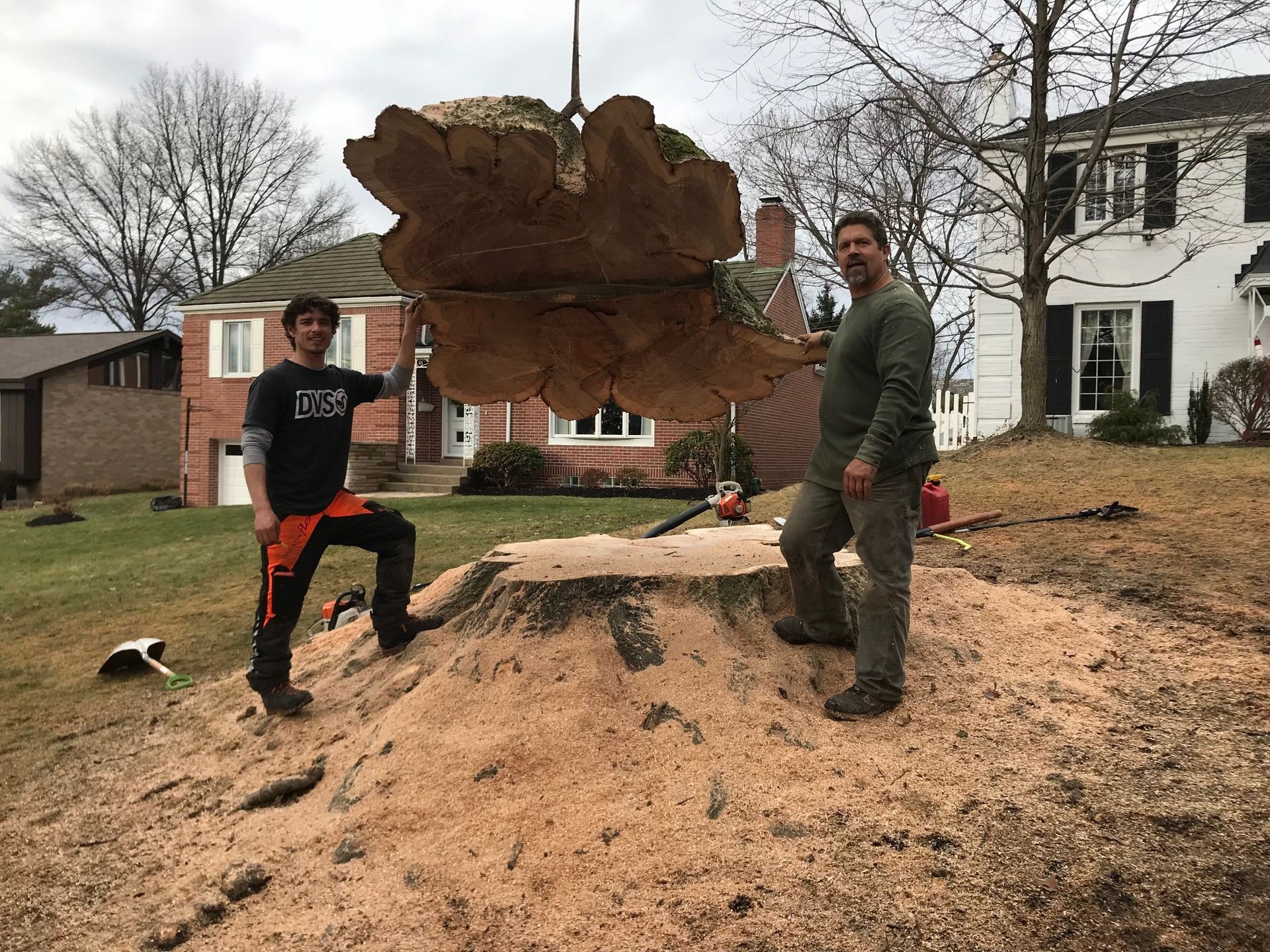 Tree Pros Jefferson Hills, PA Father & Son Tree Service