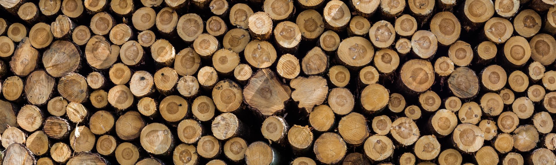STUMP GRINDING - Pile of cut logs. Brown and tan wood. The ends of the logs face the viewer.