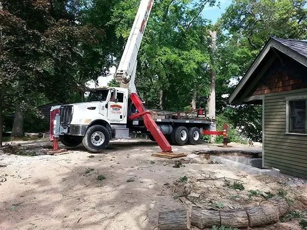 Precision Tree & Shrub Service 9