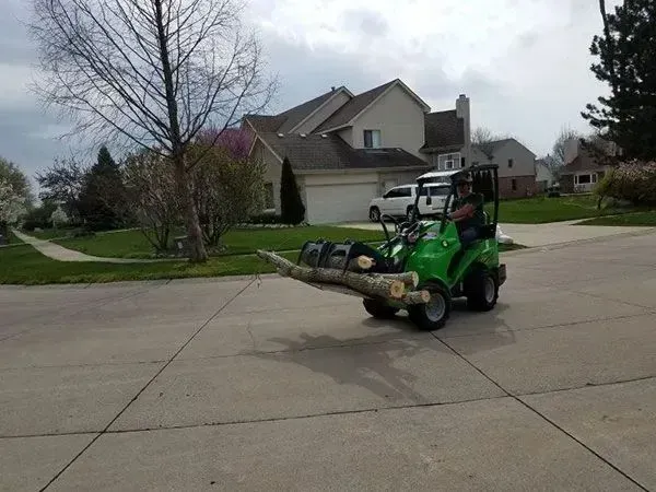 Green tractor transporting logs on a residential street.