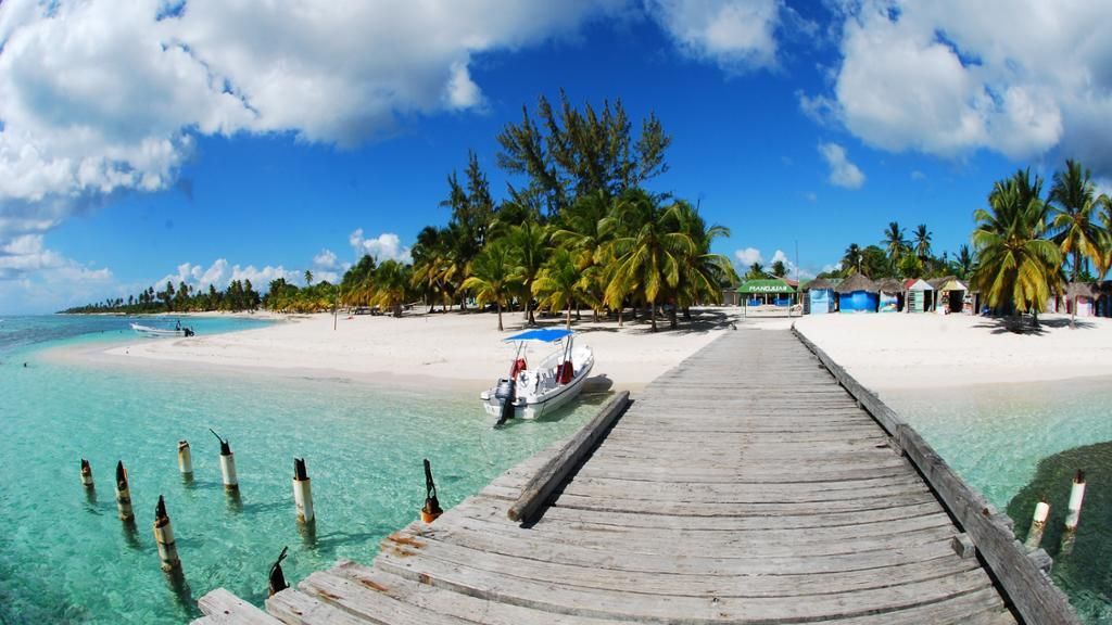 Wooden pier leading to a tropical beach with palm trees, turquoise water, and blue sky.