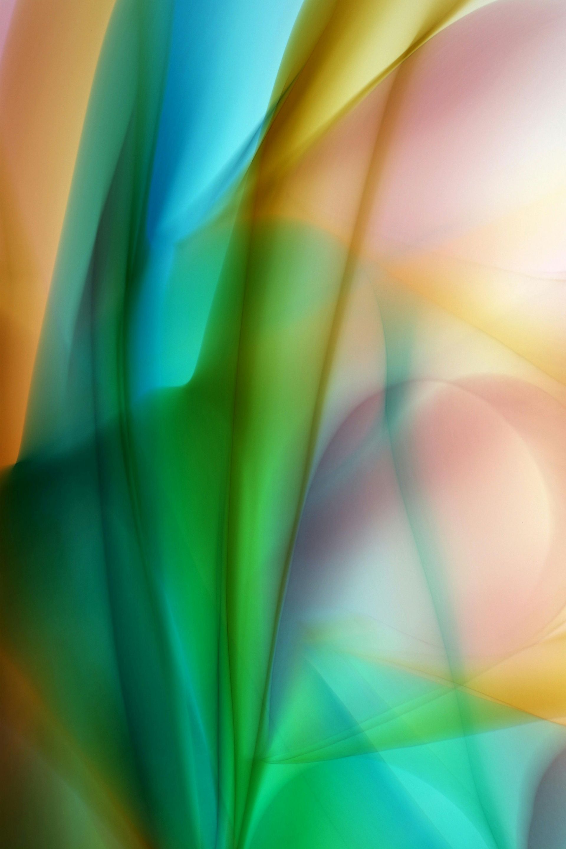 fondo