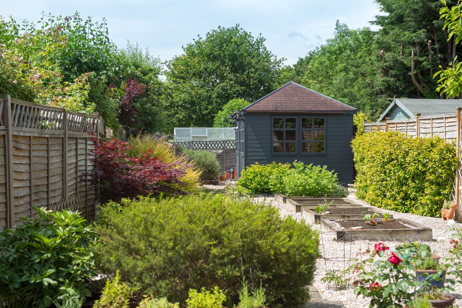 Garden with shrubs, flowers, and a dark wooden shed in the background. Garden with shrubs, flowers, and a dark wooden shed in the background.