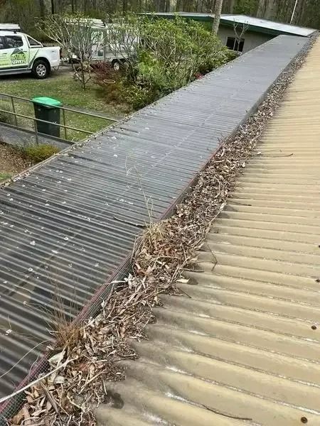 A Roof With A Lot Of Leaves On It And A Truck Parked In The Background — Gutter Guard In Lake Cathie, NSW